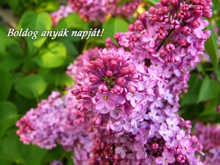 193948_697648755_big.jpg 193948_697648755_big.jpg