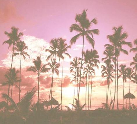 381556_286577608059260_100001210706320_875404_1814351410_n_large.jpg 381556_286577608059260_100001210706320_875404_1814351410_n_large.jpg