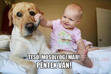 426370_435189776530898_222023451_n.jpg 426370_435189776530898_222023451_n.jpg