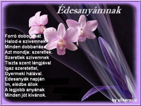 anyanap8.jpg anyanap8.jpg