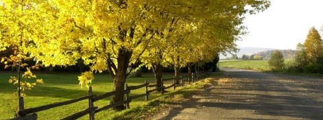 ezster.jpg ezster.jpg