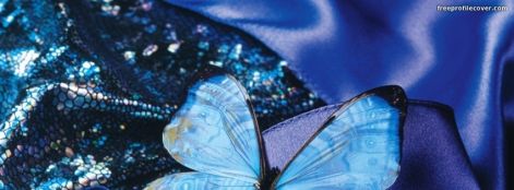 nature0035.e17oovfk64g08c0sosgoccksw.6ga8t7soo2o0888owc080w4g0.th.jpeg nature0035.e17oovfk64g08c0sosgoccksw.6ga8t7soo2o0888owc080w4g0.th.jpeg