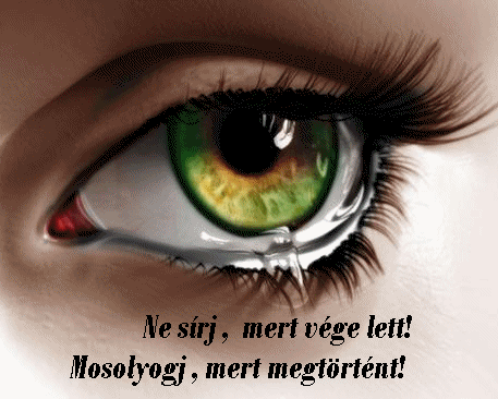 nhgal3swwkf.gif nhgal3swwkf.gif